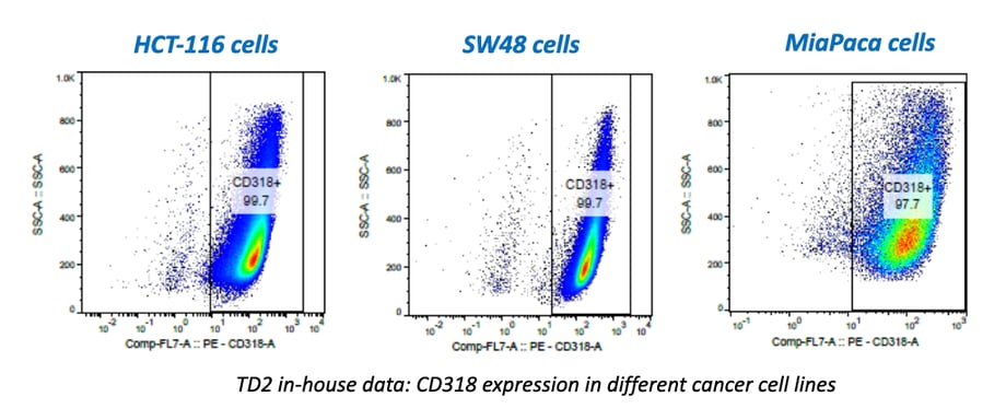 Cancer Cells/Tumor Specific Marker Expression