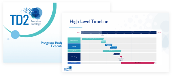 Program Budget & Timeline Executive Plan