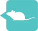 icon-mouse-2