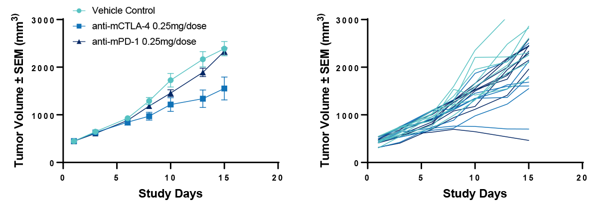 4T-1-luc Syngeneic Model