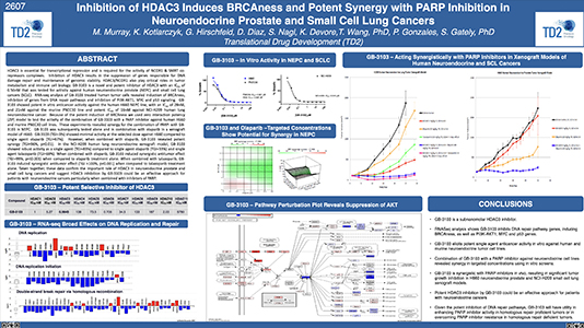 Inhibition of HDAC3 Induces BRCAness and Potent Synergy with PARP Inhibition in Neuroendocrine Prostate and Small Cell Lung Cancers