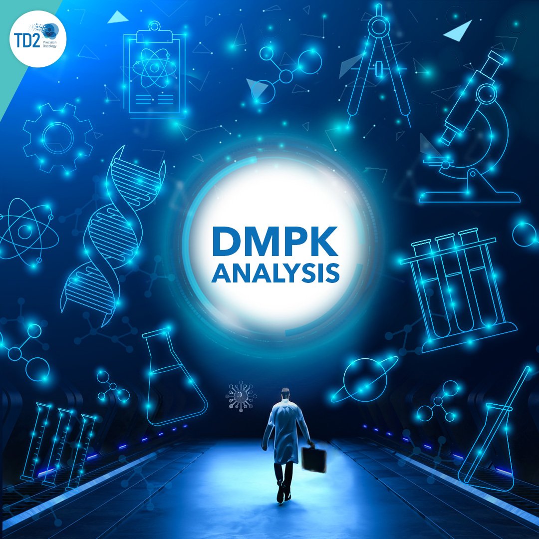 The Critical Significance of DMPK Studies in Preclinical Research