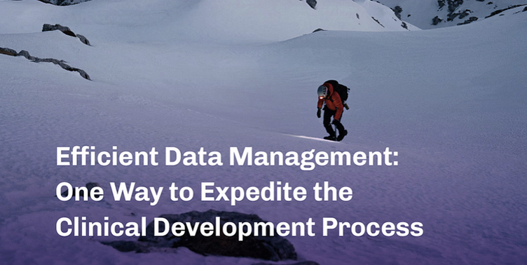 Efficient Data Management: One Way to Expedite the Clinical Development Process