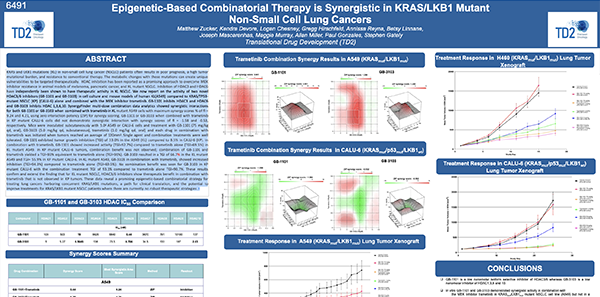 Epigenetic-Based Combinatorial Therapy is Synergistic in KRAS/LKB1 Mutant Non-Small Cell Lung Cancers